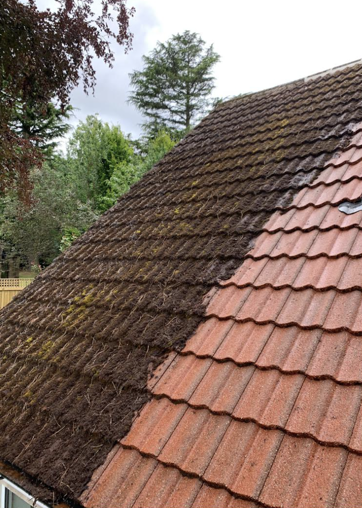 Roof Cleaning